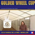 Golden Wheel CUP 2010 Single Driving START in FRANCE CAI-A HARAS DE LA NEE / NEWILLER SEE YOU